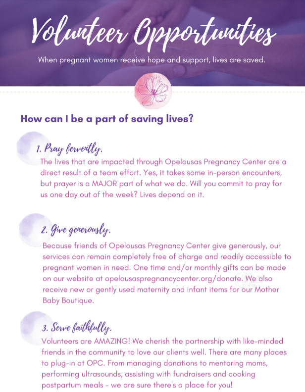 Volunteer Opportunity 2